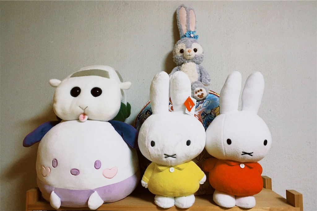 f:id:shr0319:20210605000114j:image