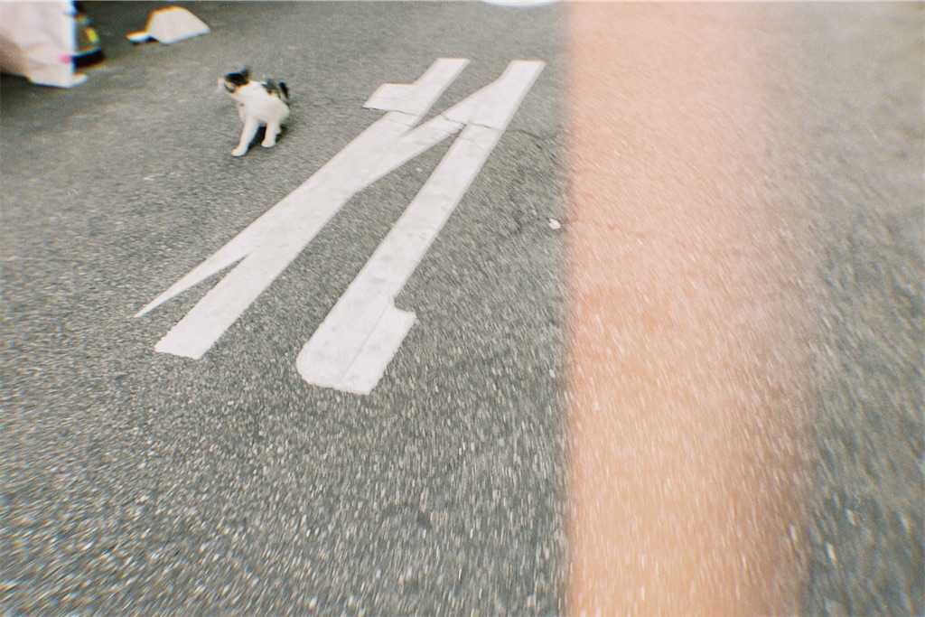 f:id:shr0319:20210928230201j:image