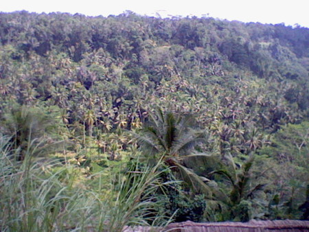 f:id:shrdlu:20090518130431j:image f:id:shrdlu:20090518130431j:image