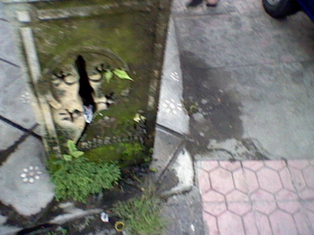 f:id:shrdlu:20090518171237j:image f:id:shrdlu:20090518171237j:image