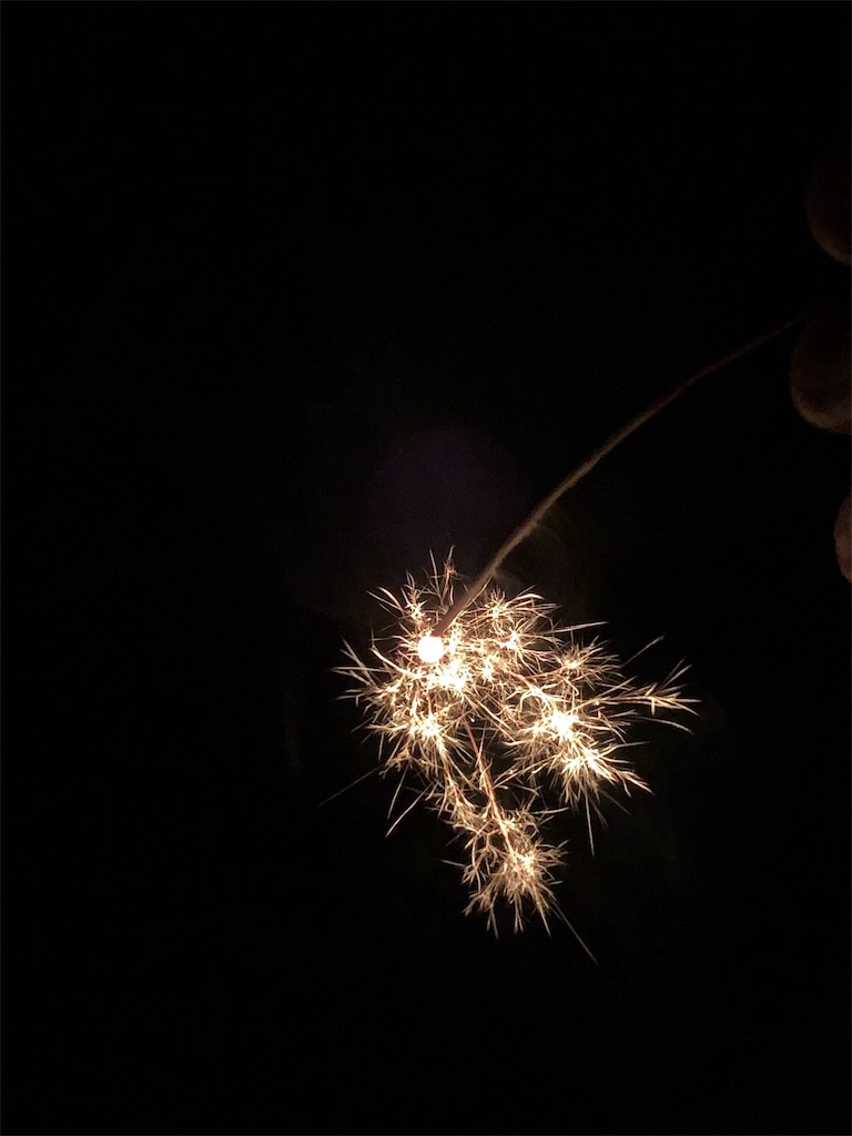 f:id:shrikm:20190812121521j:image f:id:shrikm:20190812121521j:image
