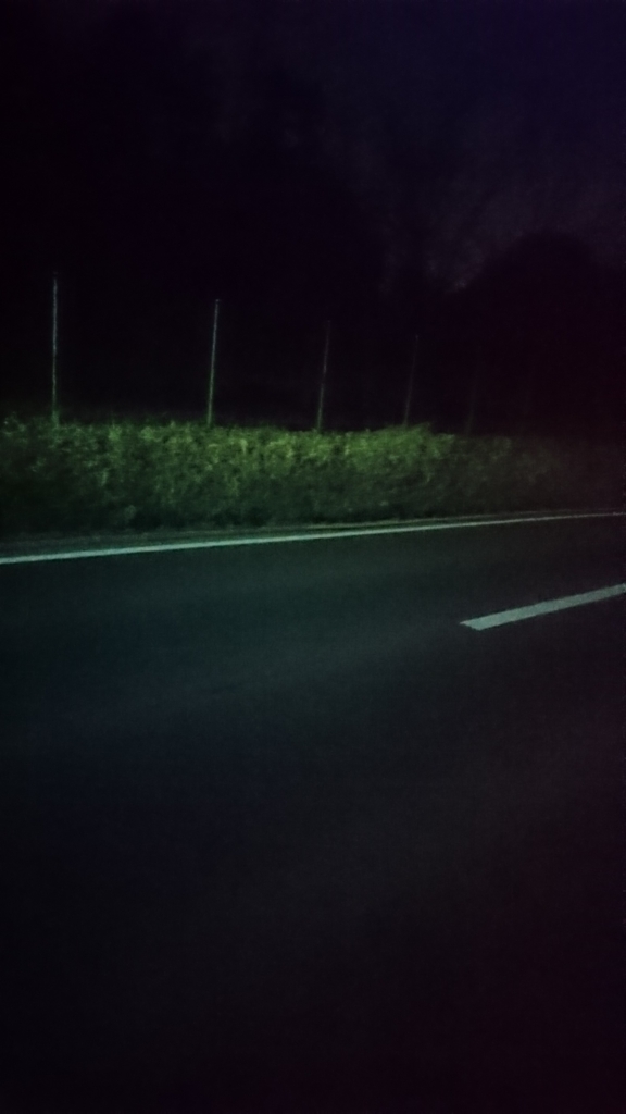f:id:shrimpboy1111:20170320204732j:plain