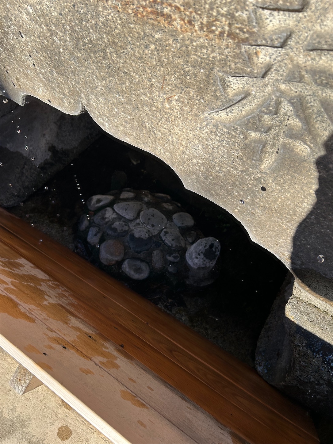 f:id:shrine_junkie:20240204142428j:image