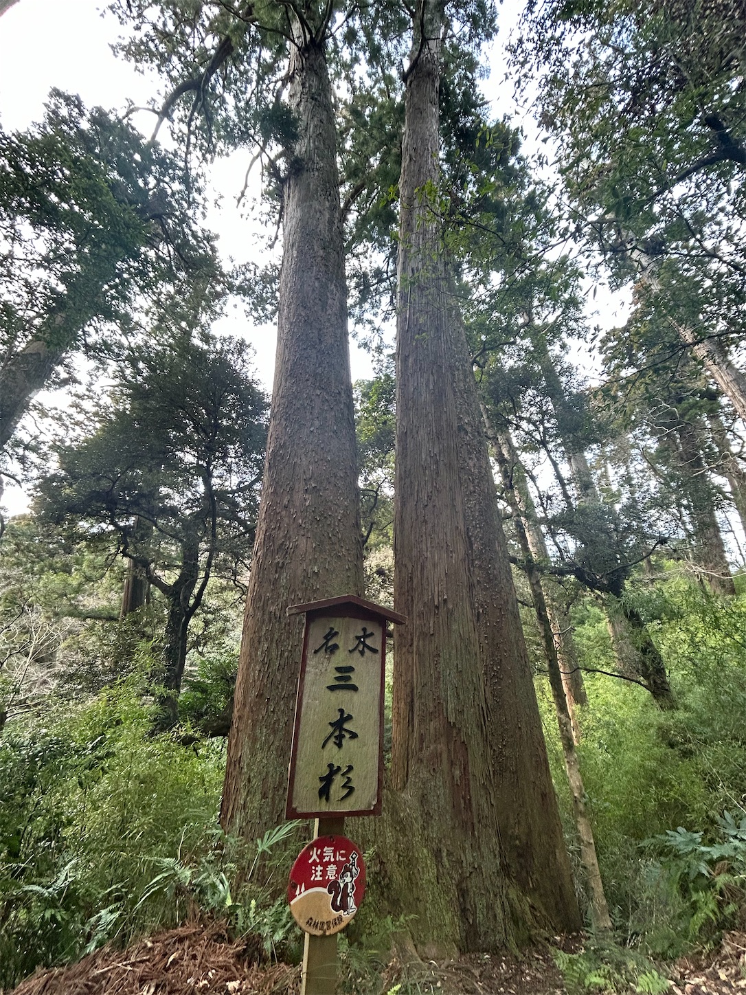 f:id:shrine_junkie:20240219194101j:image