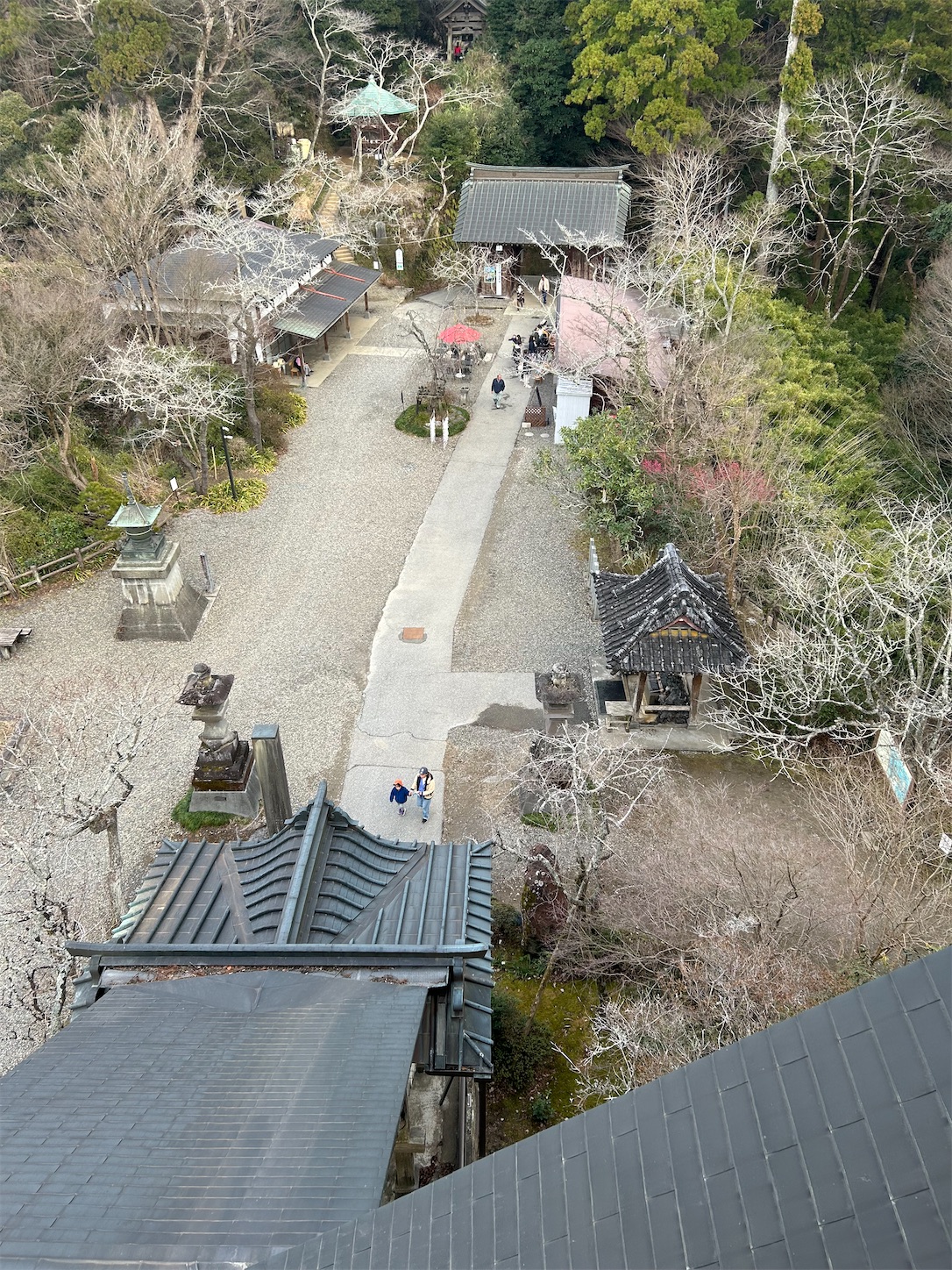 f:id:shrine_junkie:20240219194637j:image