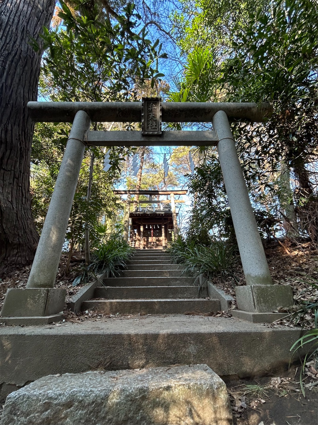 f:id:shrine_junkie:20240225210110j:image