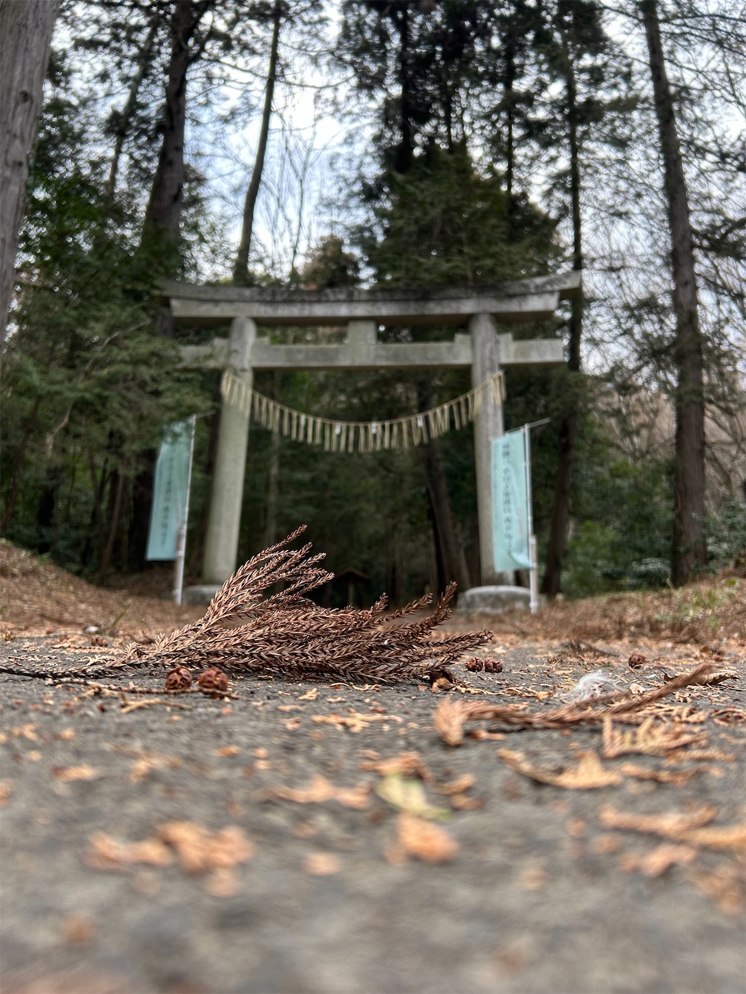 f:id:shrine_junkie:20240312164328j:image