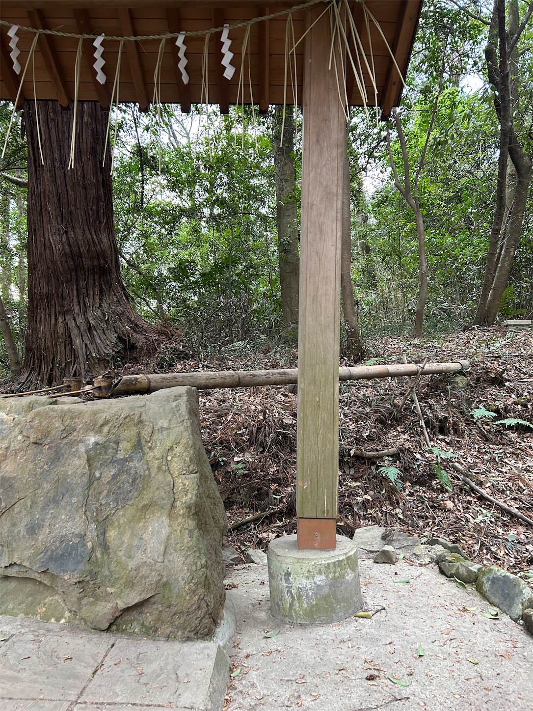 f:id:shrine_junkie:20240312164535j:image