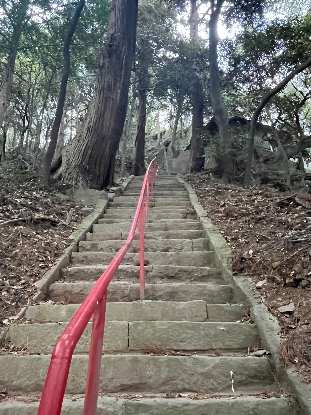 f:id:shrine_junkie:20240312164858j:image