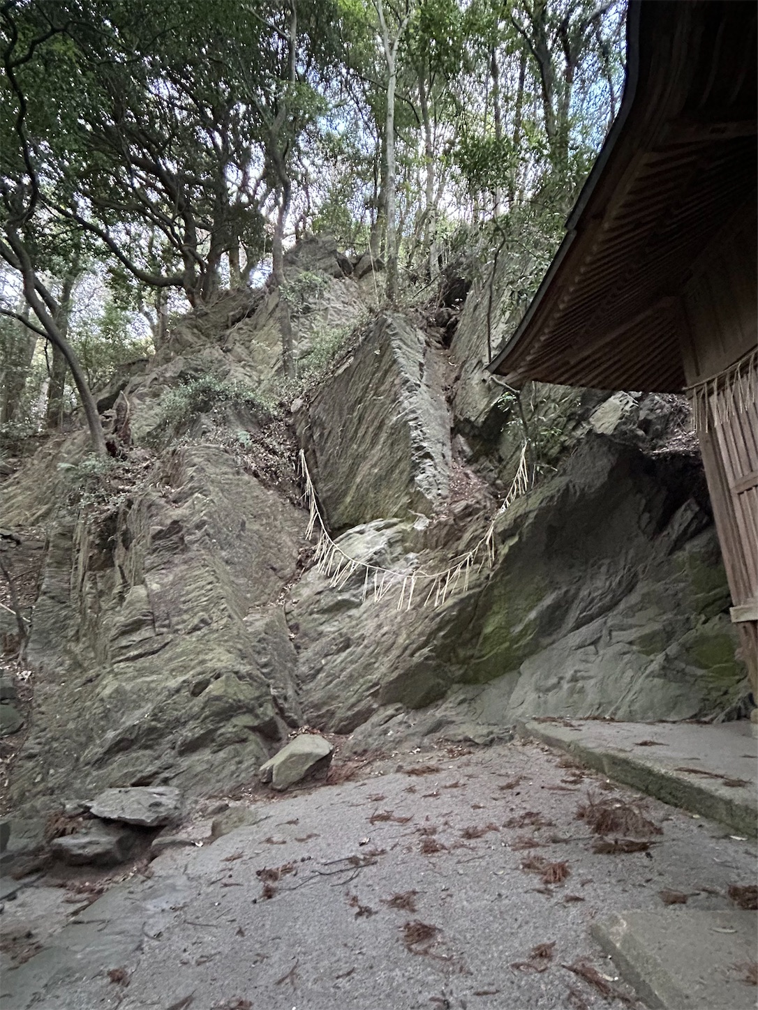 f:id:shrine_junkie:20240312164940j:image