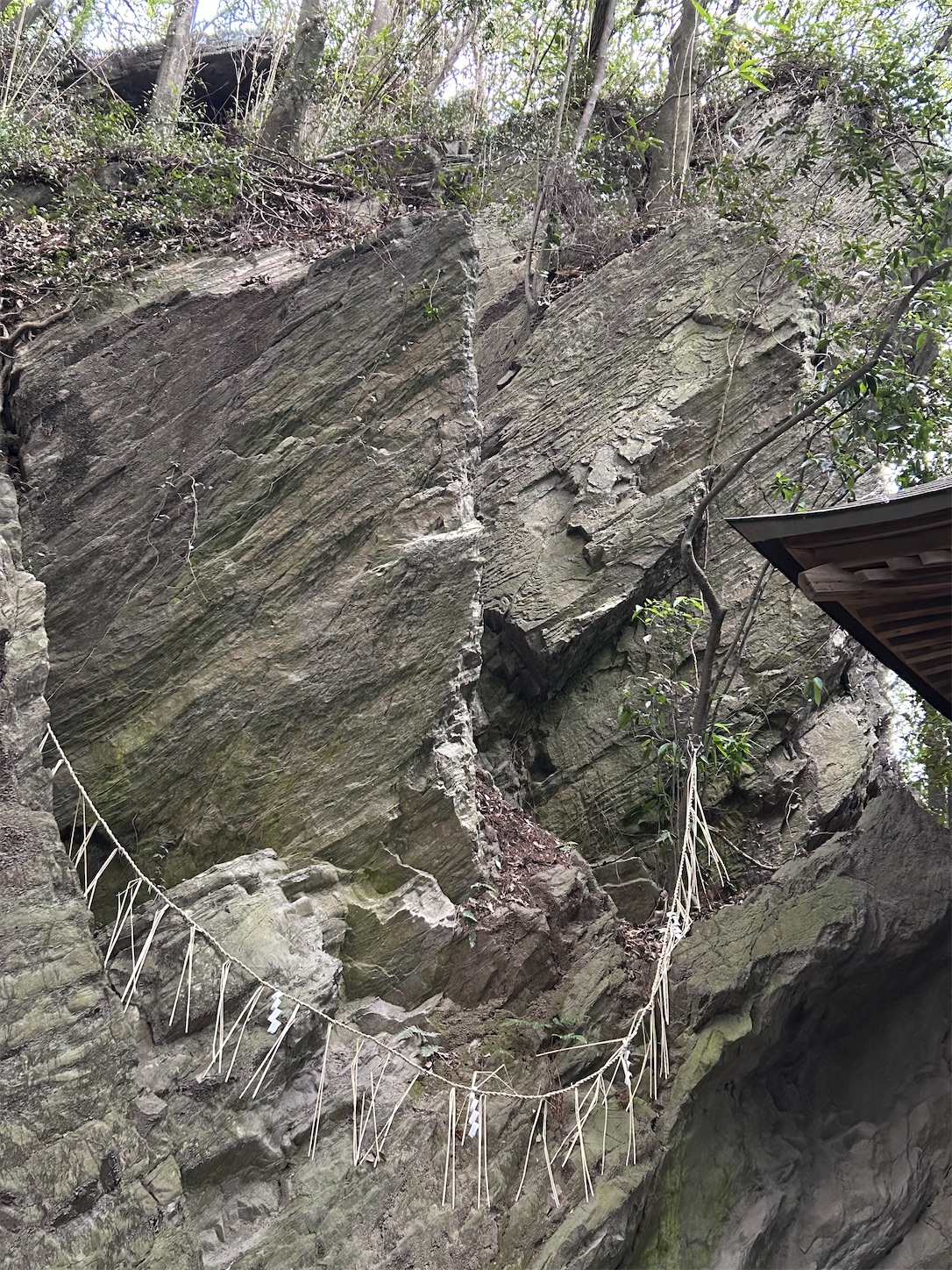 f:id:shrine_junkie:20240312165047j:image