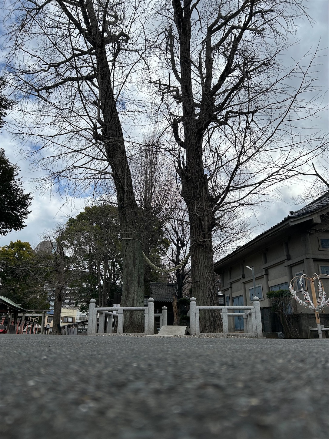 f:id:shrine_junkie:20240323211708j:image