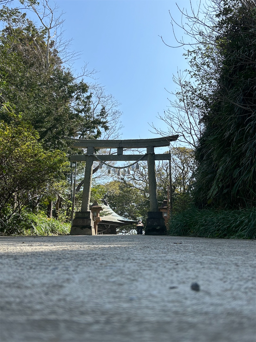 f:id:shrine_junkie:20240421134303j:image