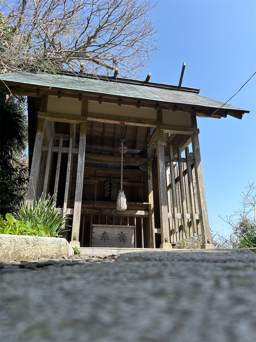 f:id:shrine_junkie:20240421134756j:image