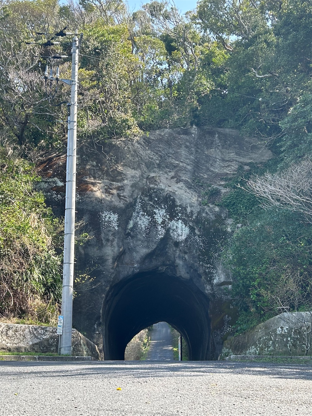 f:id:shrine_junkie:20240421135136j:image