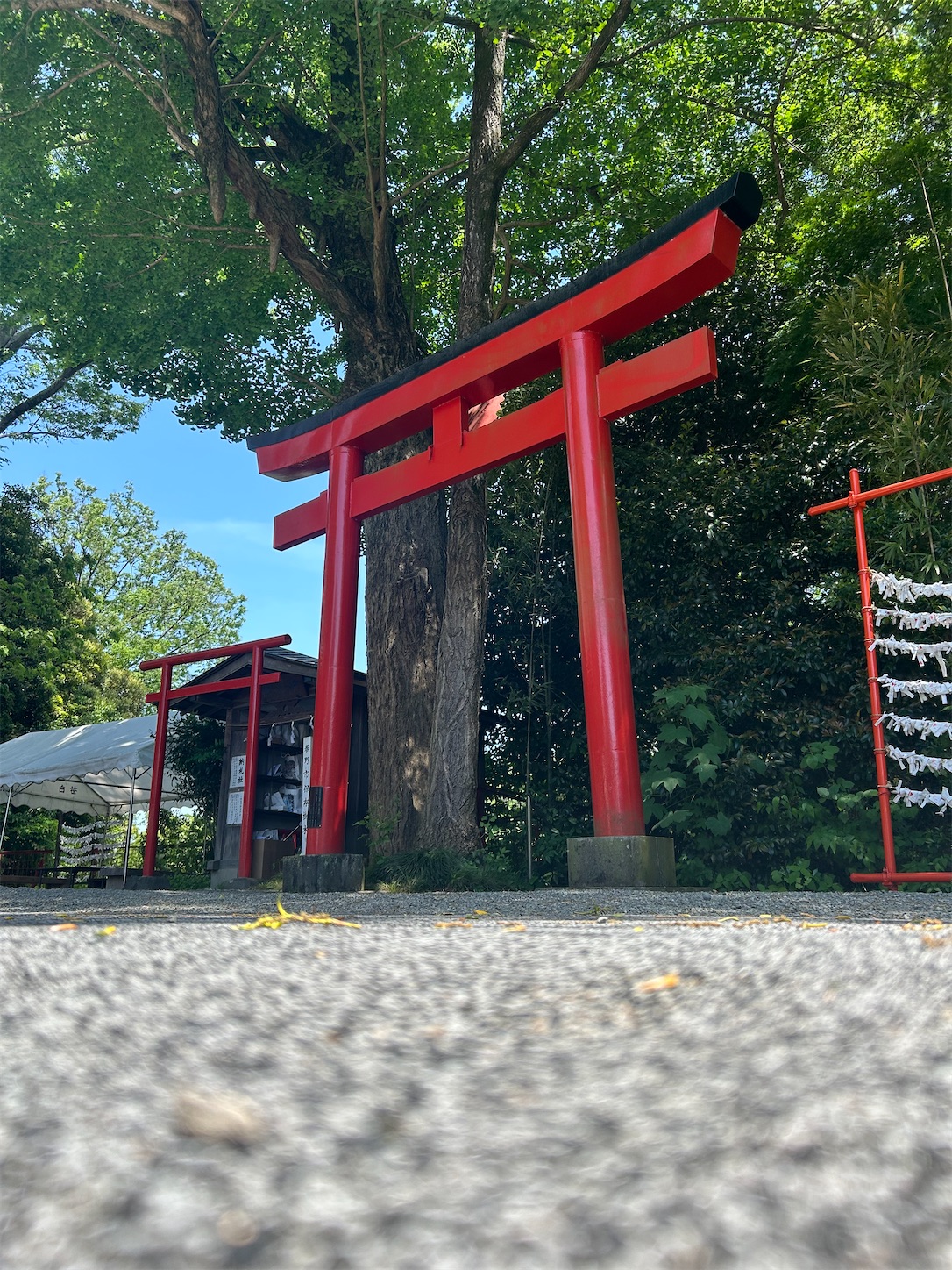 f:id:shrine_junkie:20240626190205j:image