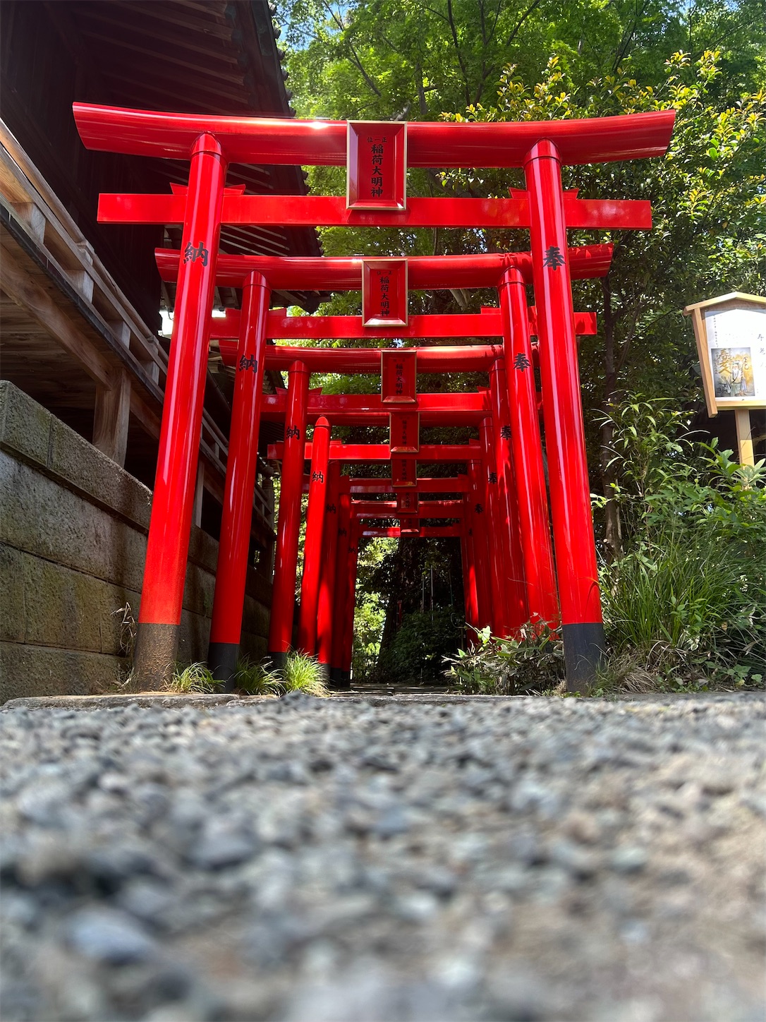f:id:shrine_junkie:20240626190729j:image