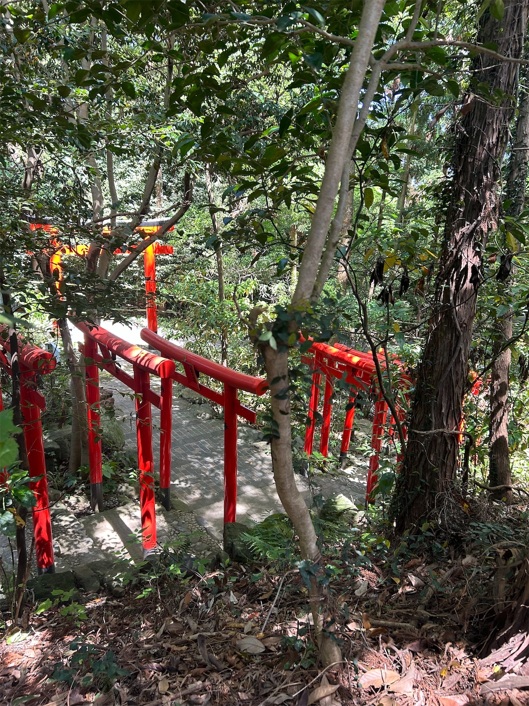 f:id:shrine_junkie:20240626190921j:image