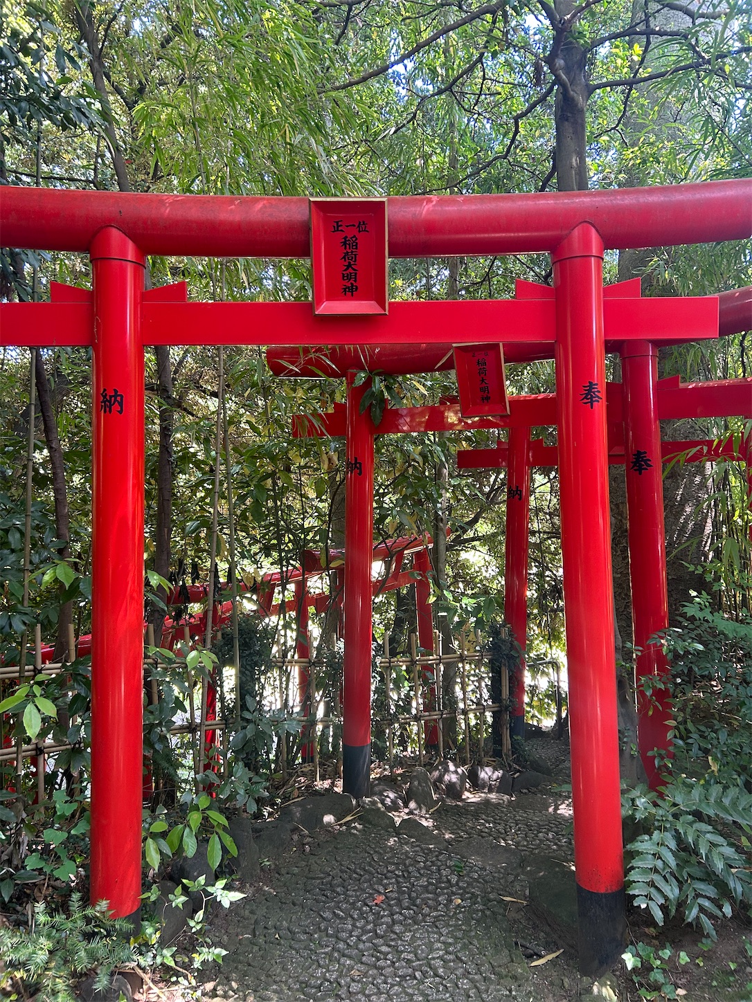 f:id:shrine_junkie:20240626191008j:image