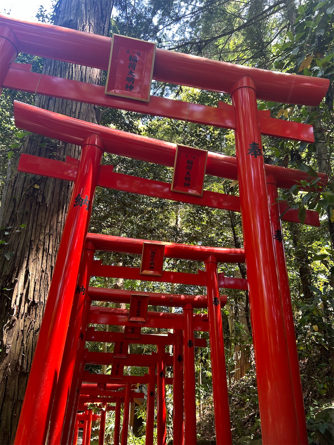 f:id:shrine_junkie:20240626191409j:image