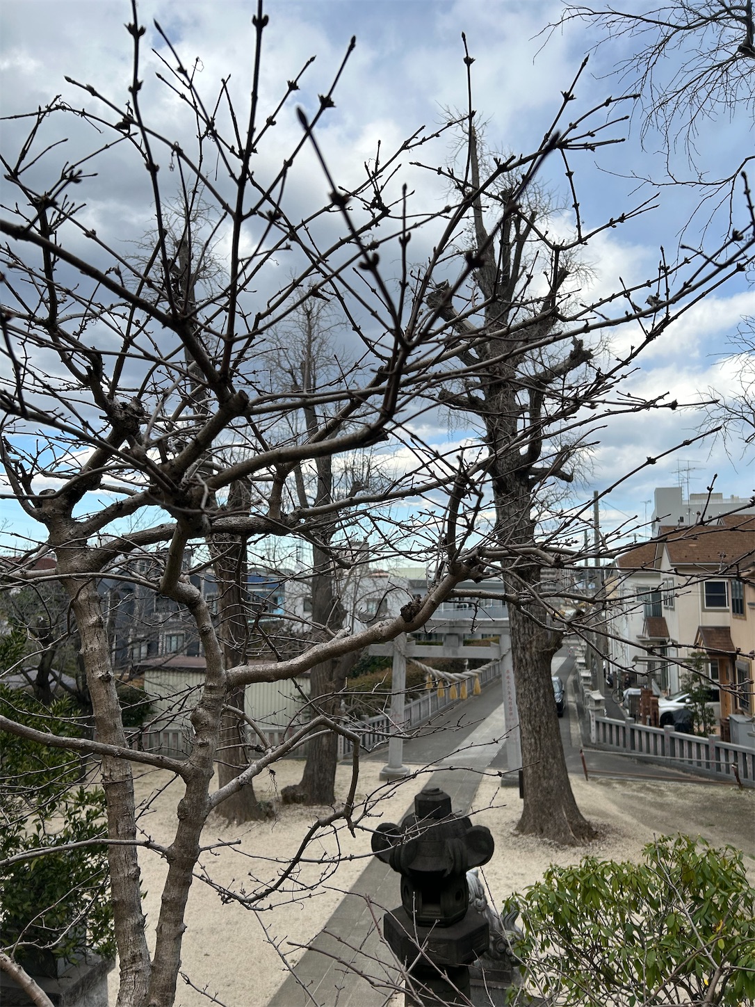 f:id:shrine_junkie:20240701120615j:image