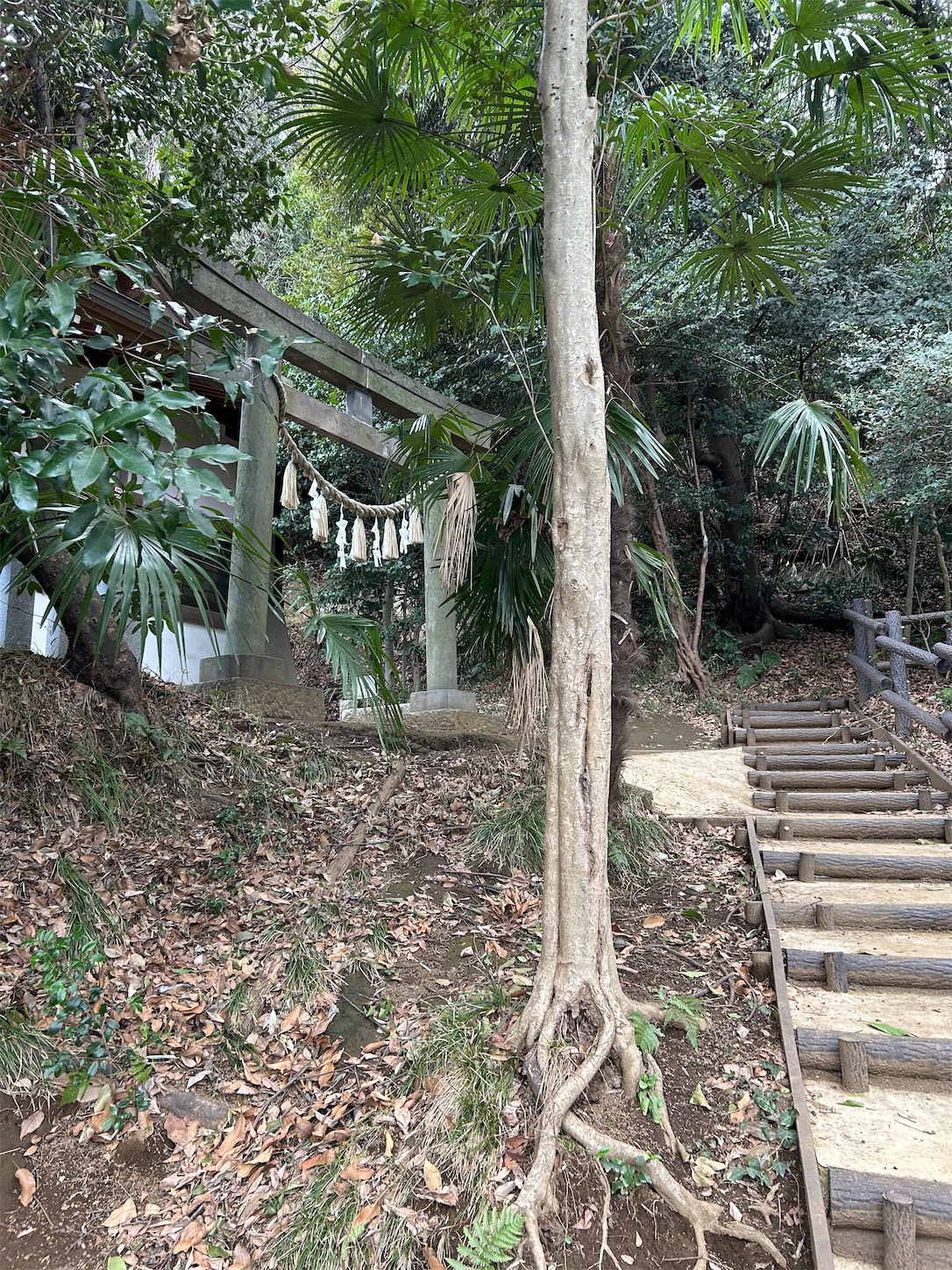 f:id:shrine_junkie:20240701120829j:image