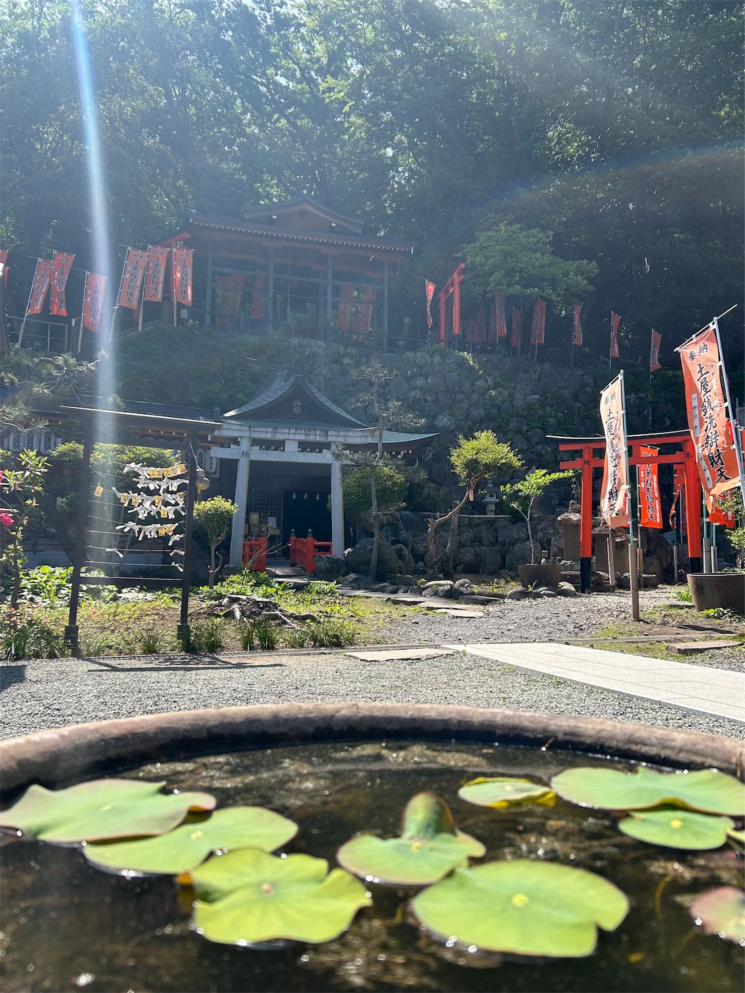 f:id:shrine_junkie:20240708204606j:image f:id:shrine_junkie:20240708204606j:image