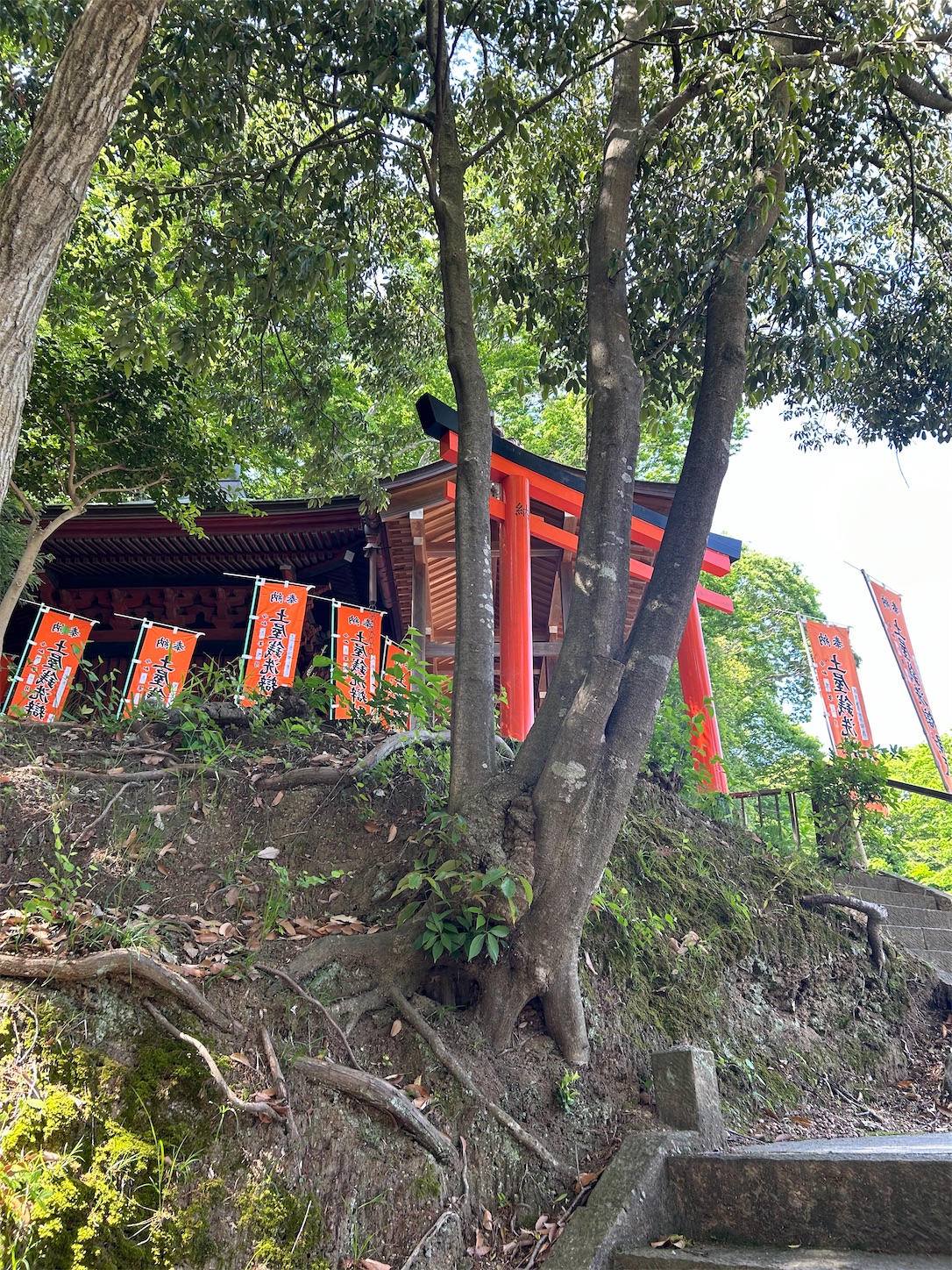 f:id:shrine_junkie:20240708205037j:image f:id:shrine_junkie:20240708205037j:image