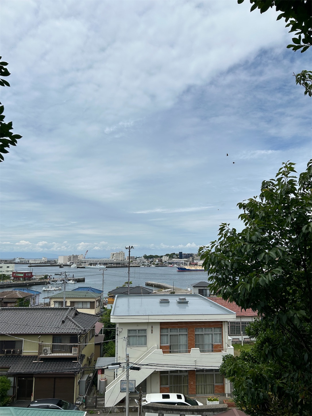 f:id:shrine_junkie:20241111172347j:image