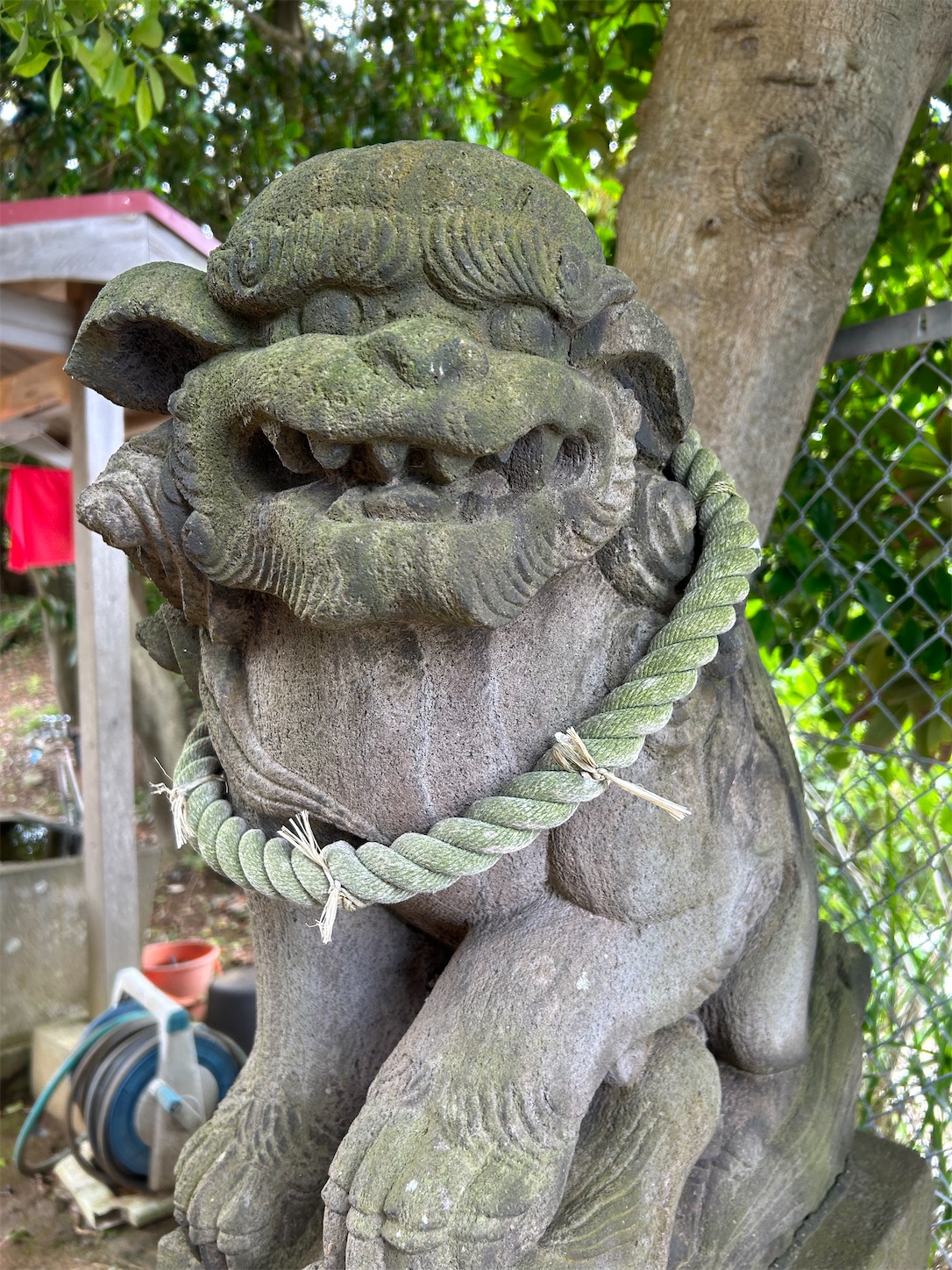 f:id:shrine_junkie:20241111172409j:image