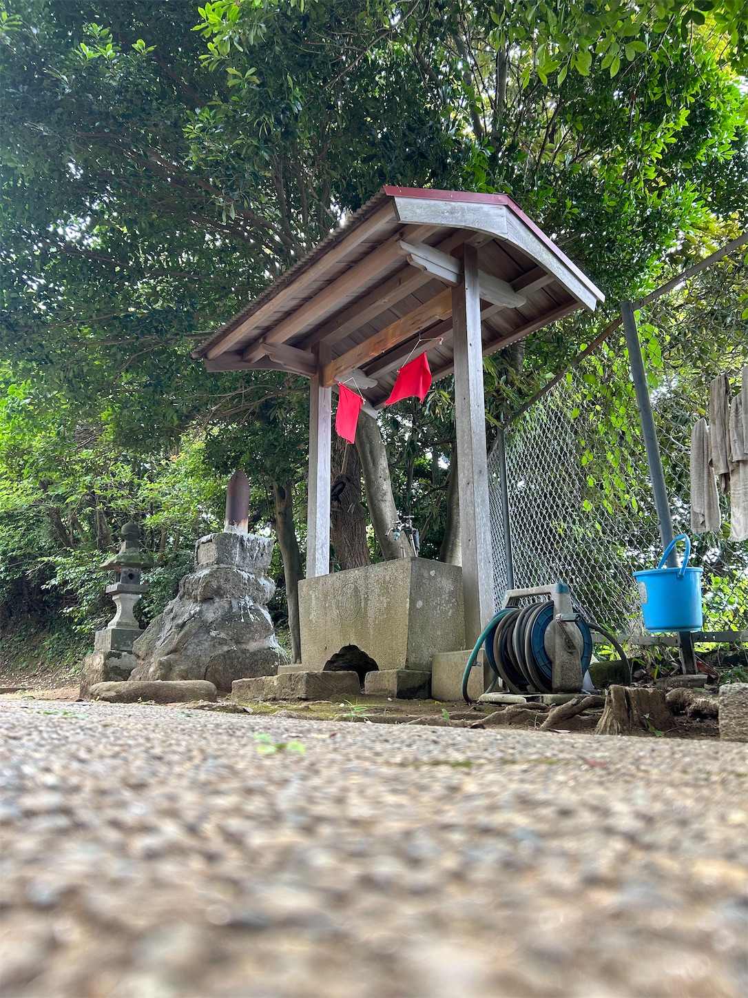 f:id:shrine_junkie:20241111172433j:image