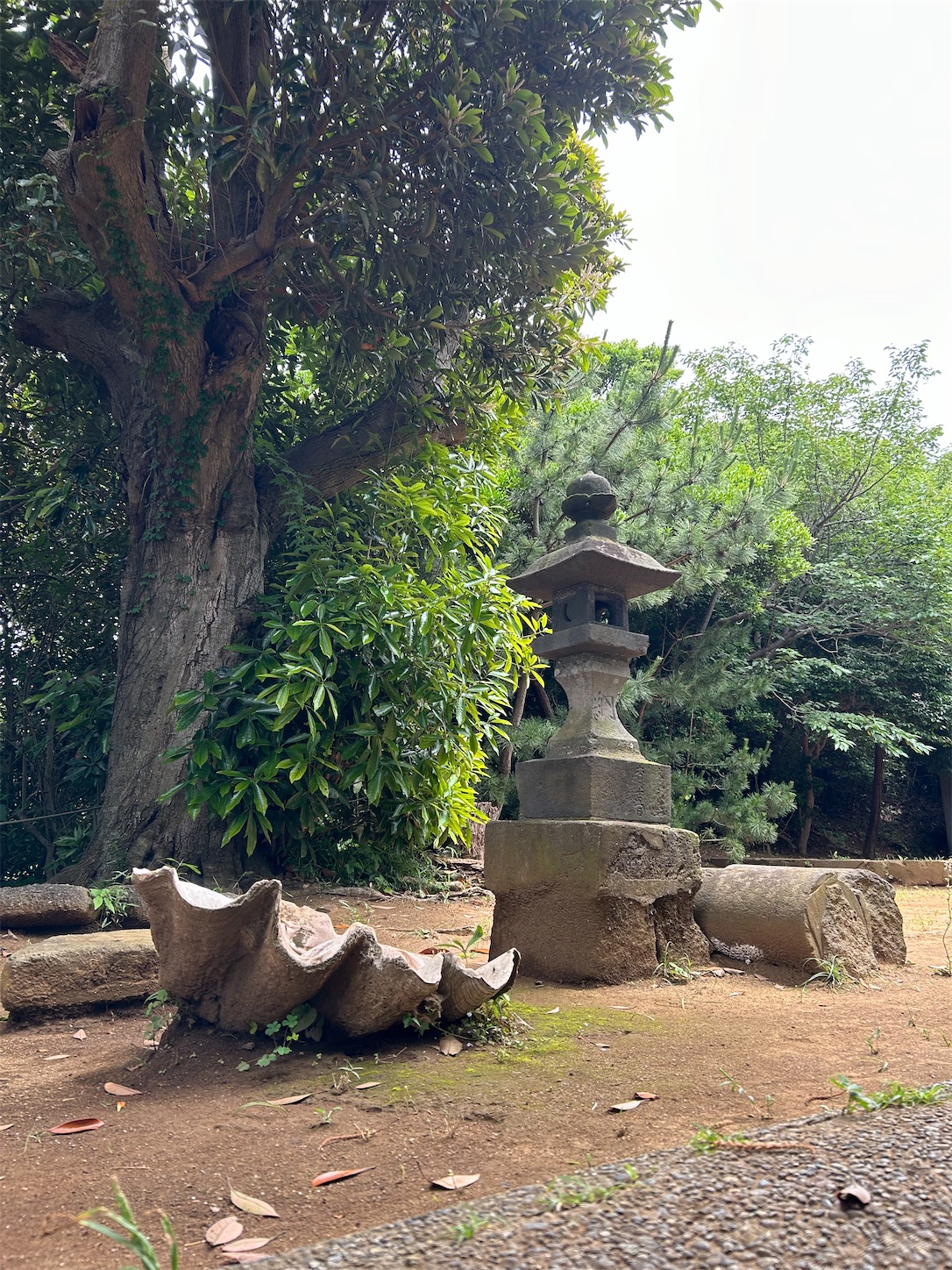 f:id:shrine_junkie:20241111172532j:image