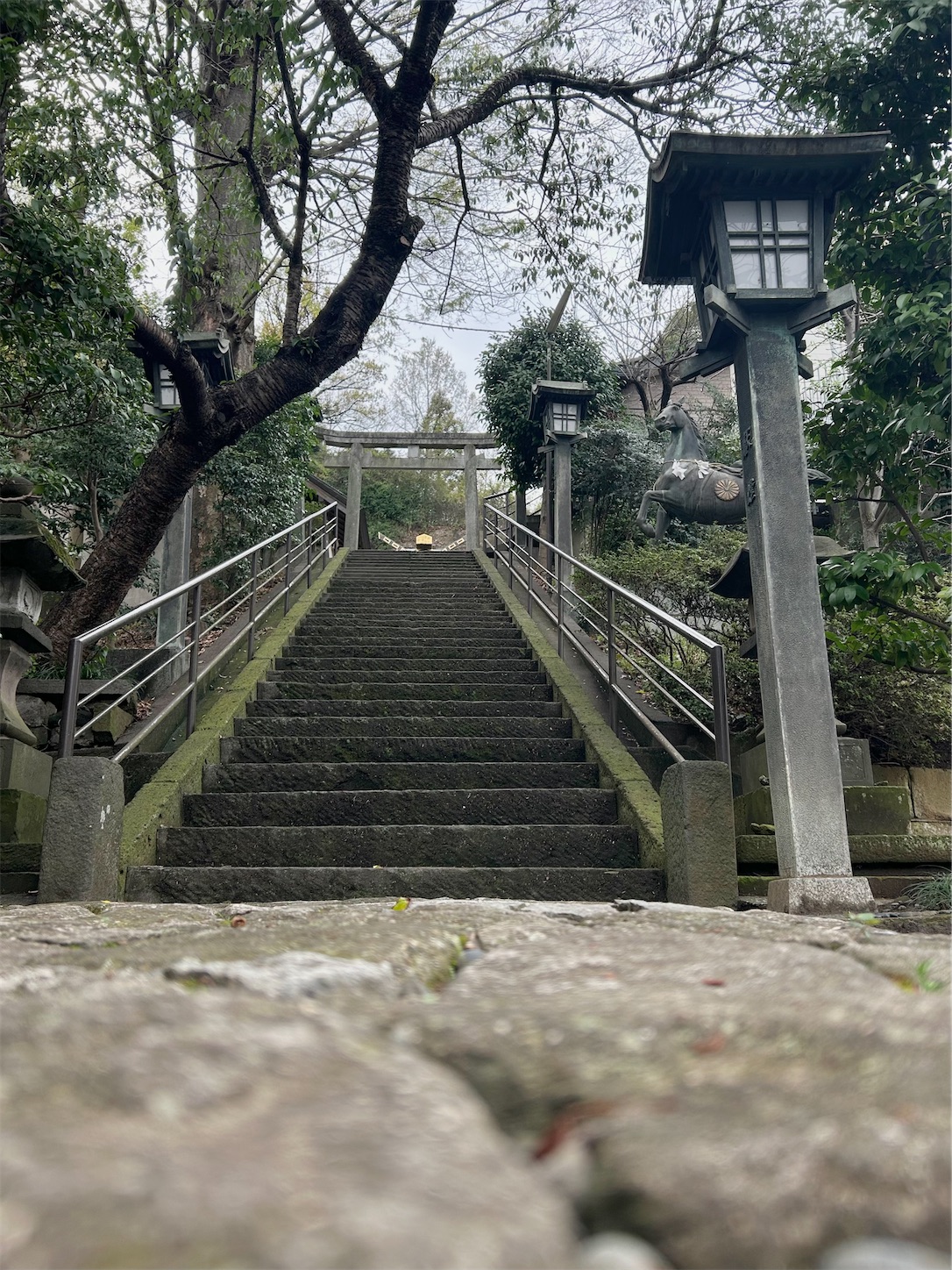 f:id:shrine_junkie:20241201223844j:image