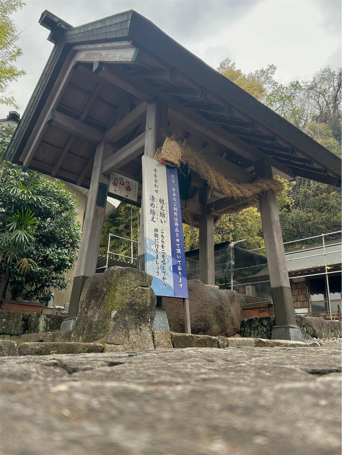 f:id:shrine_junkie:20241201224021j:image