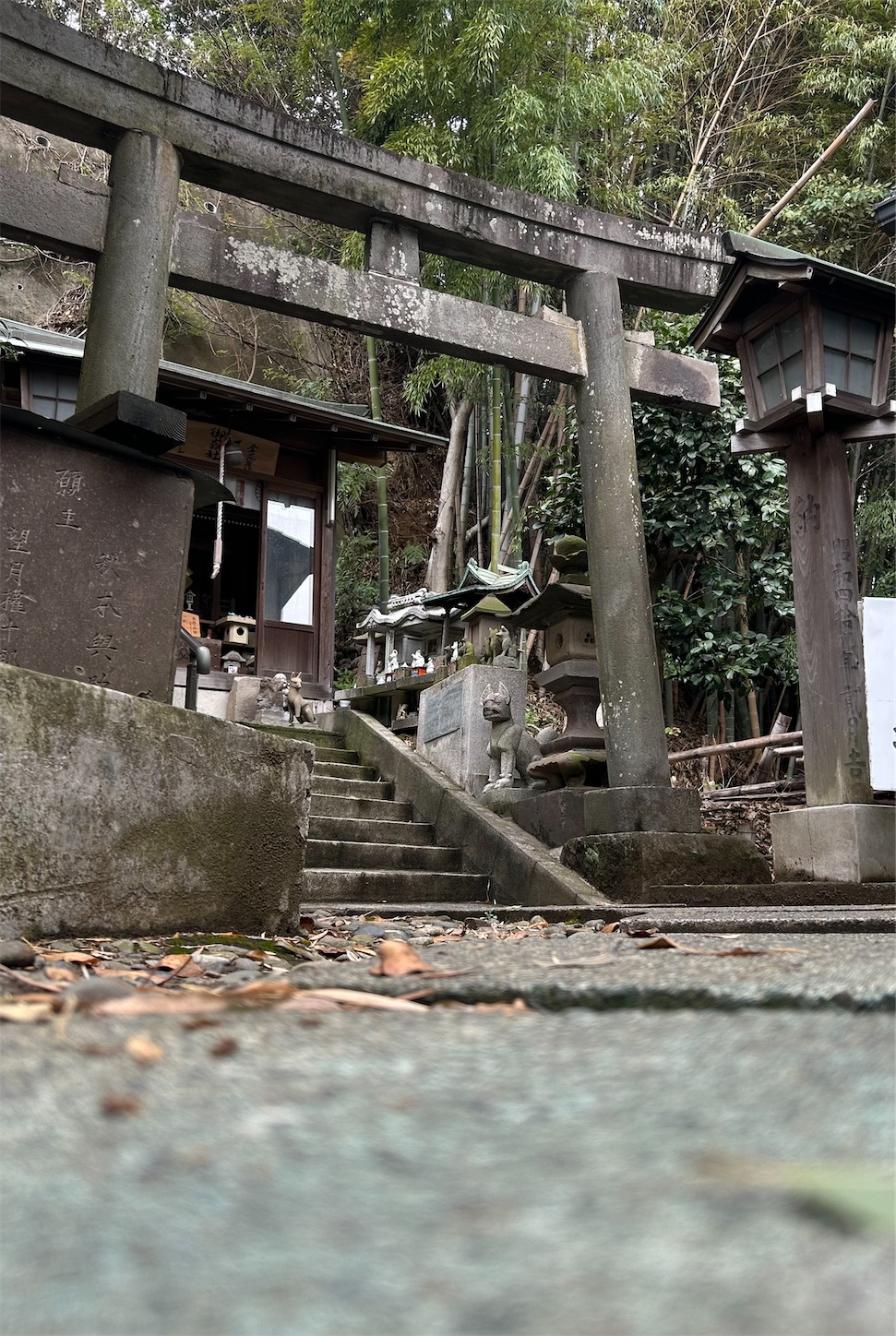 f:id:shrine_junkie:20241201224108j:image