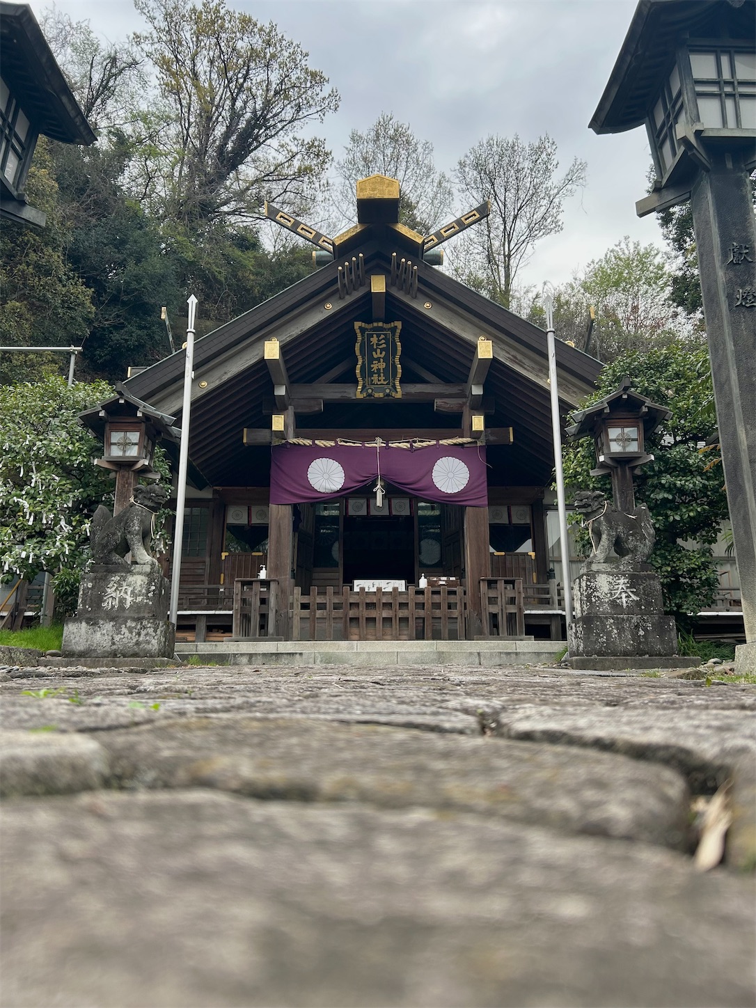 f:id:shrine_junkie:20241201224320j:image