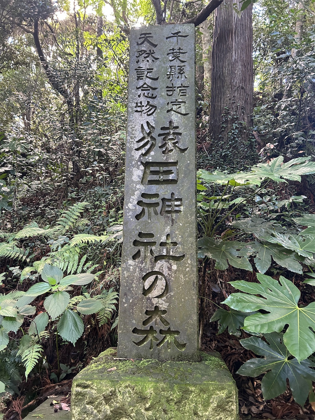 f:id:shrine_junkie:20250123142343j:image