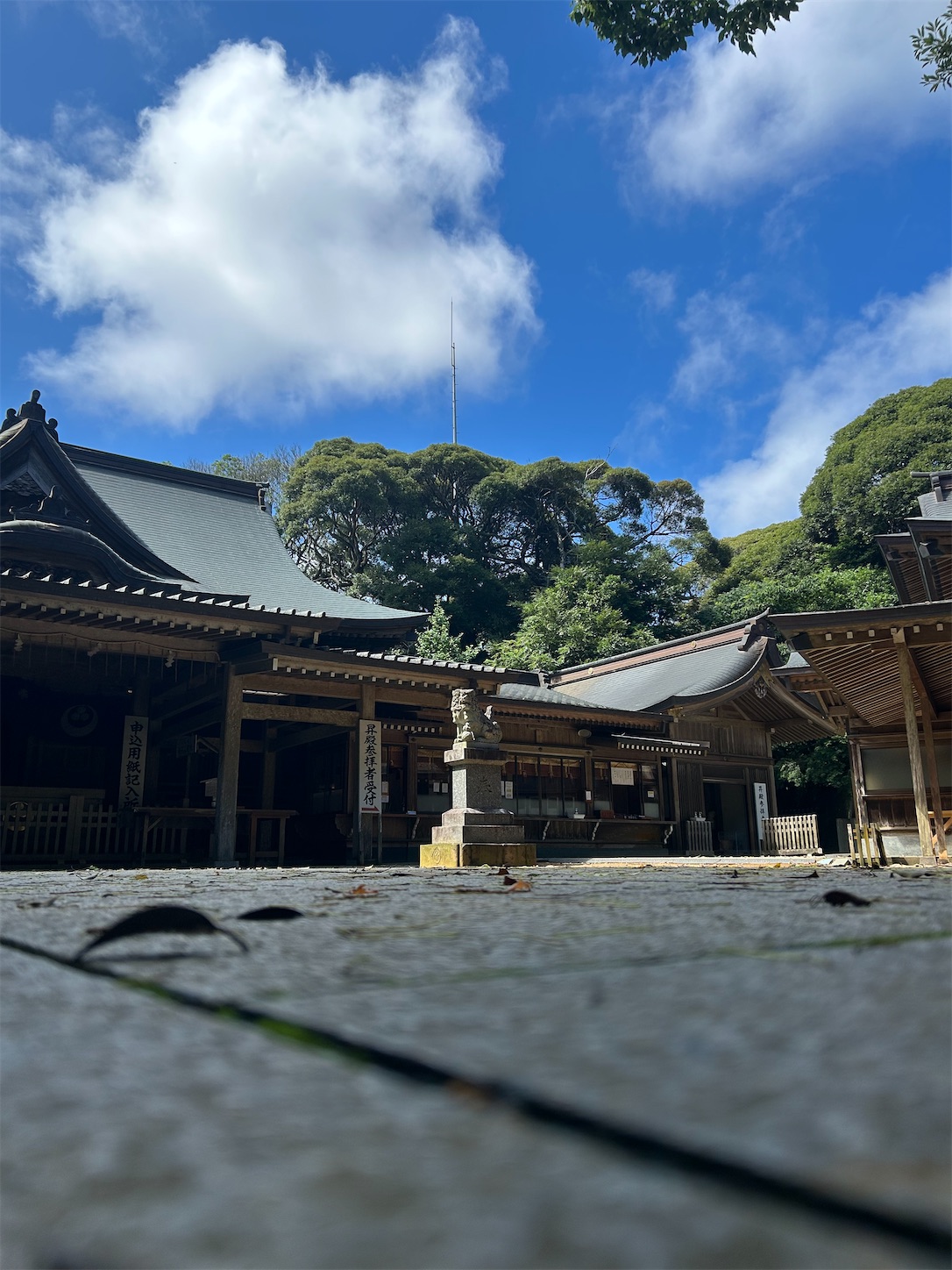 f:id:shrine_junkie:20250123142427j:image