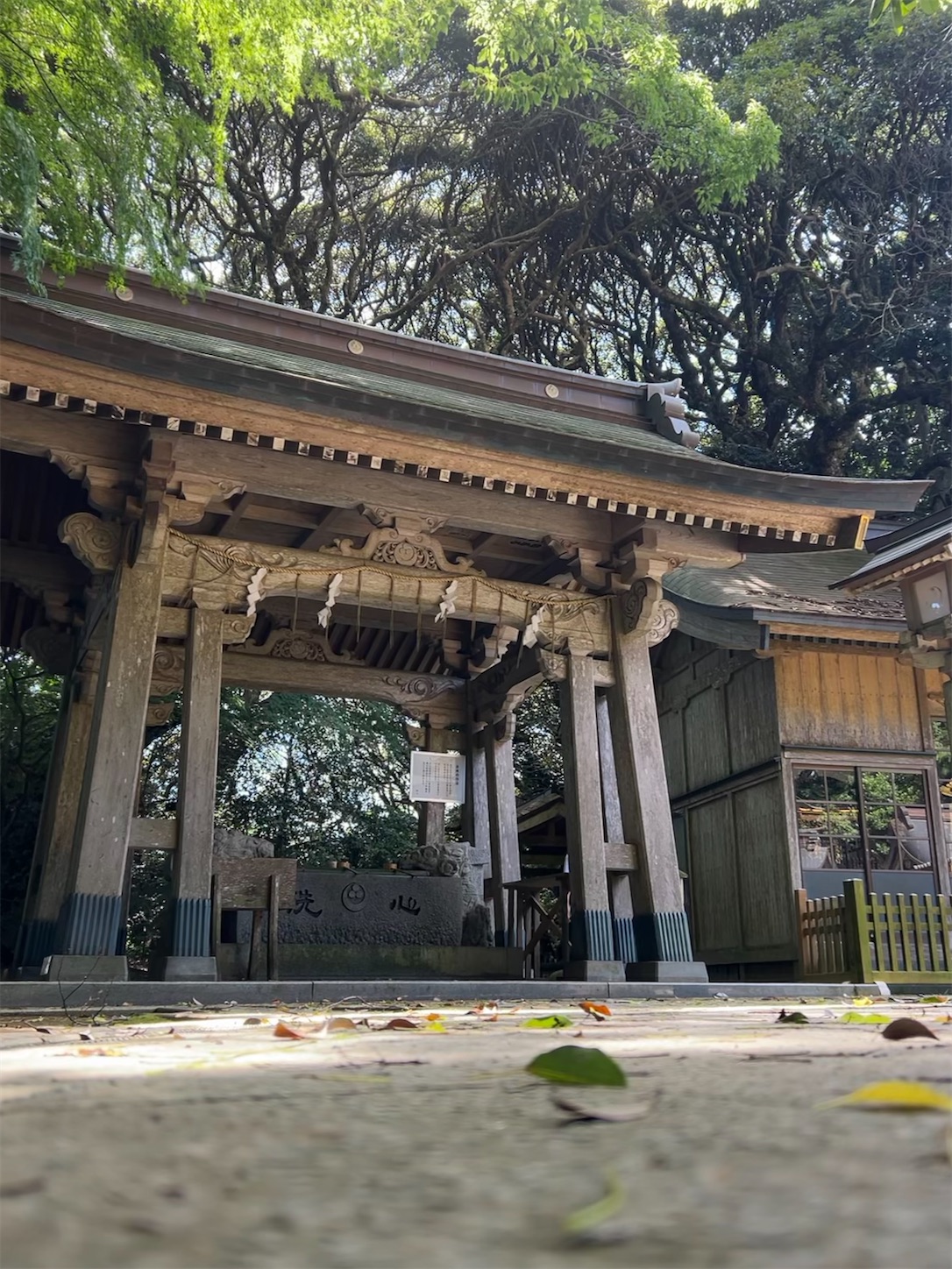 f:id:shrine_junkie:20250123142544j:image