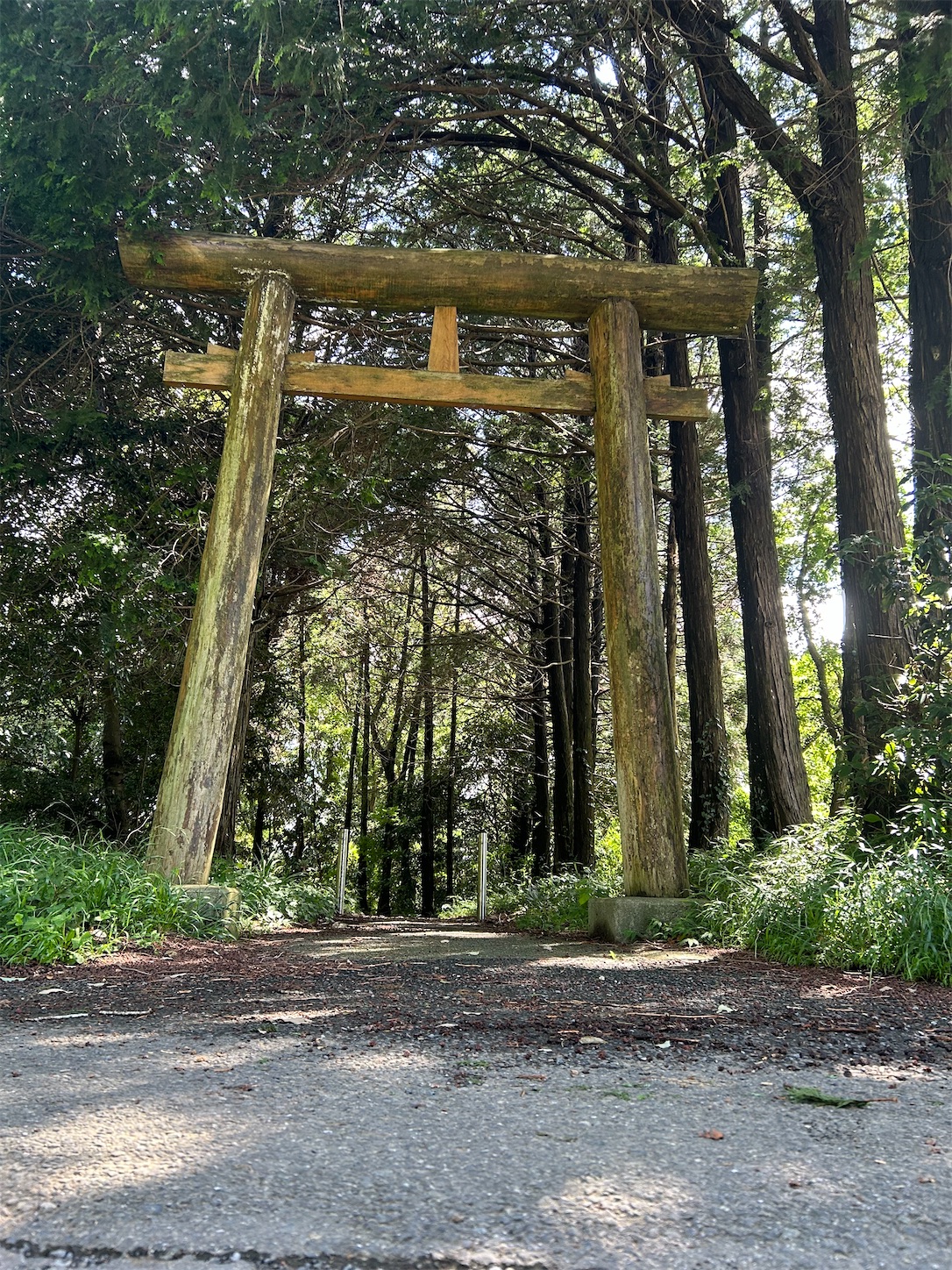 f:id:shrine_junkie:20250123143023j:image