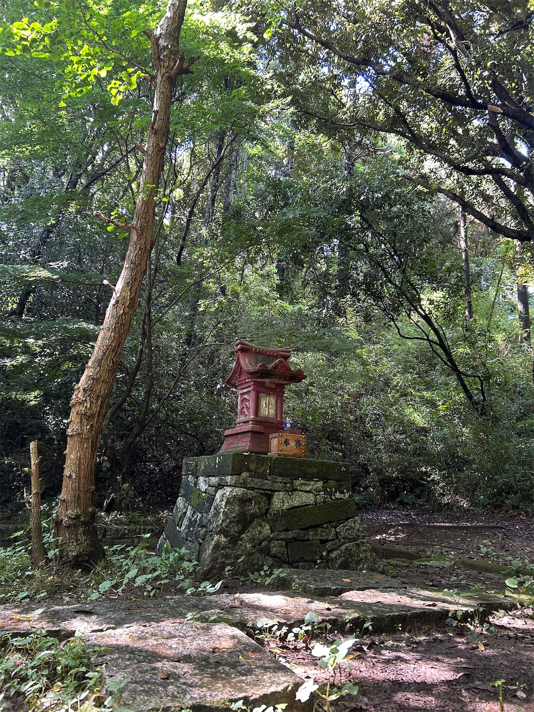f:id:shrine_junkie:20250123143347j:image