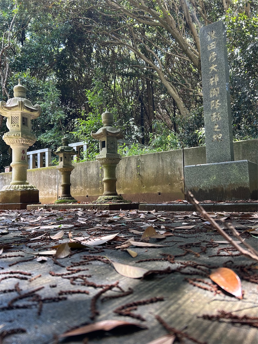 f:id:shrine_junkie:20250123143548j:image