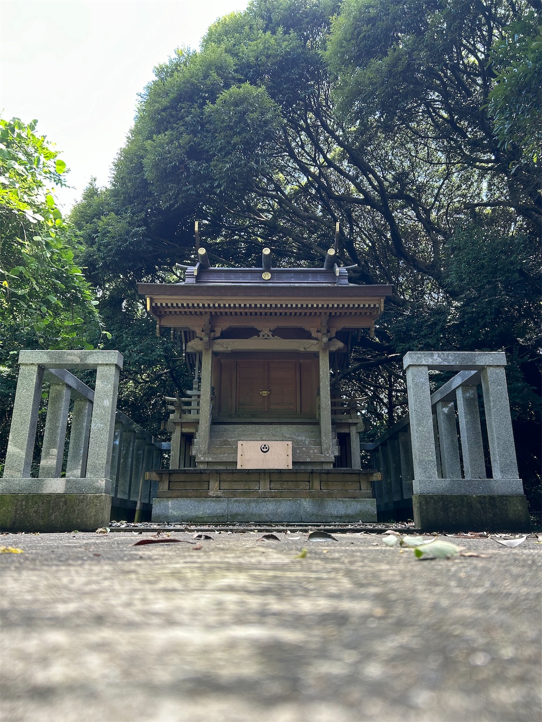 f:id:shrine_junkie:20250123143841j:image