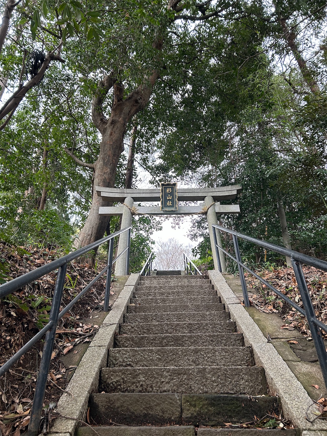 f:id:shrine_junkie:20250201220123j:image