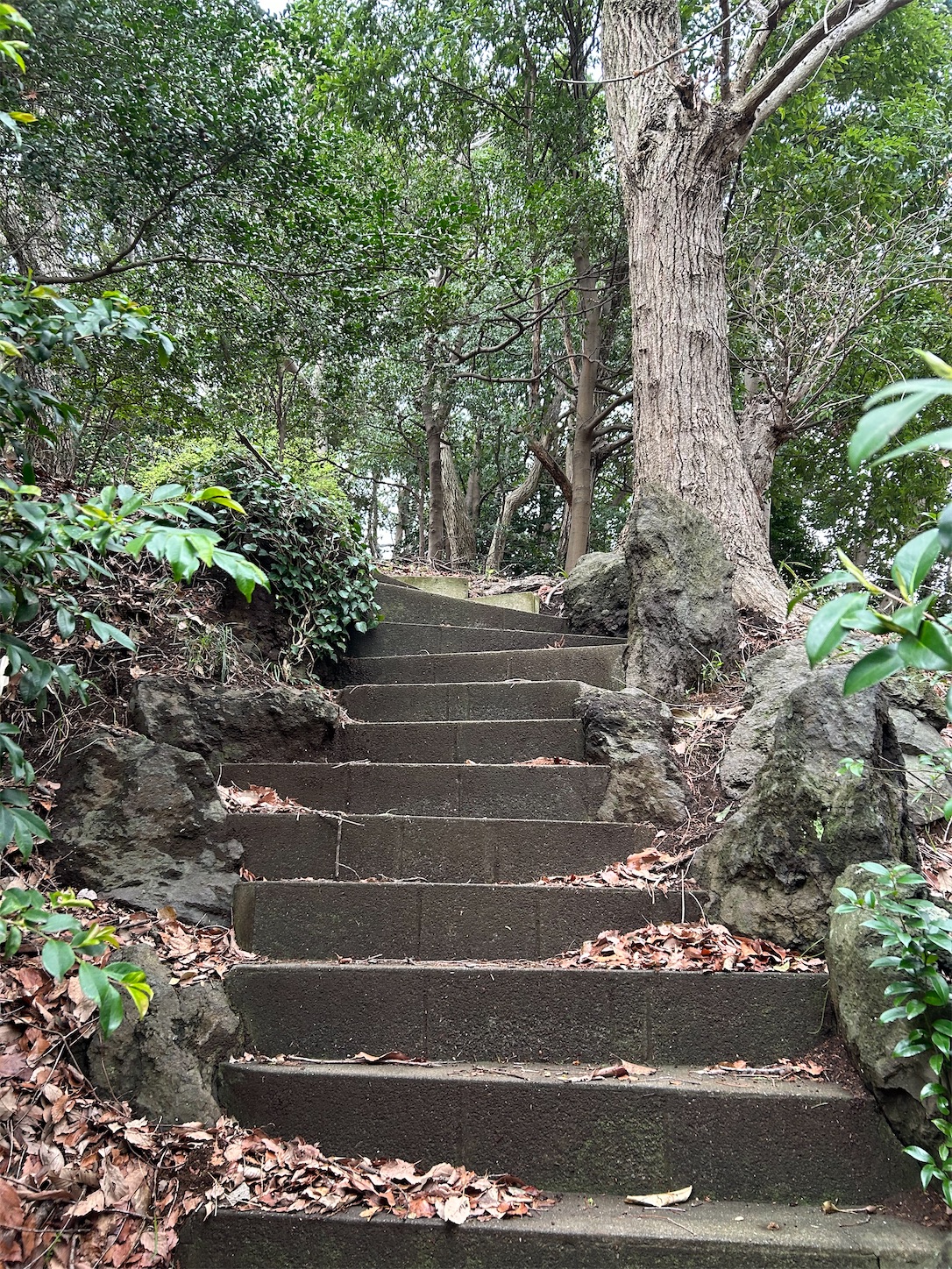 f:id:shrine_junkie:20250201220446j:image