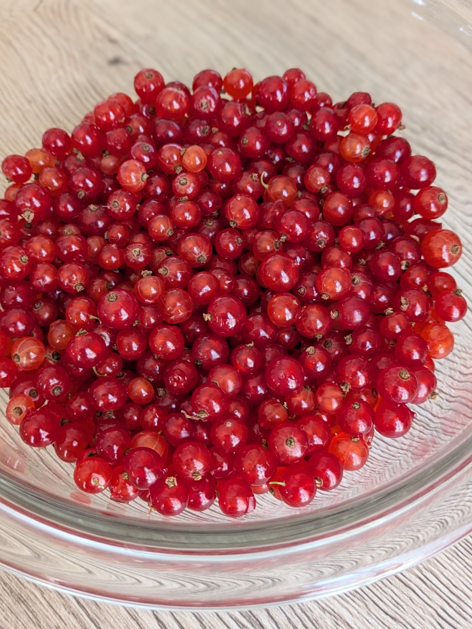 f:id:shringo51:20250708134925j:image f:id:shringo51:20250708134925j:image