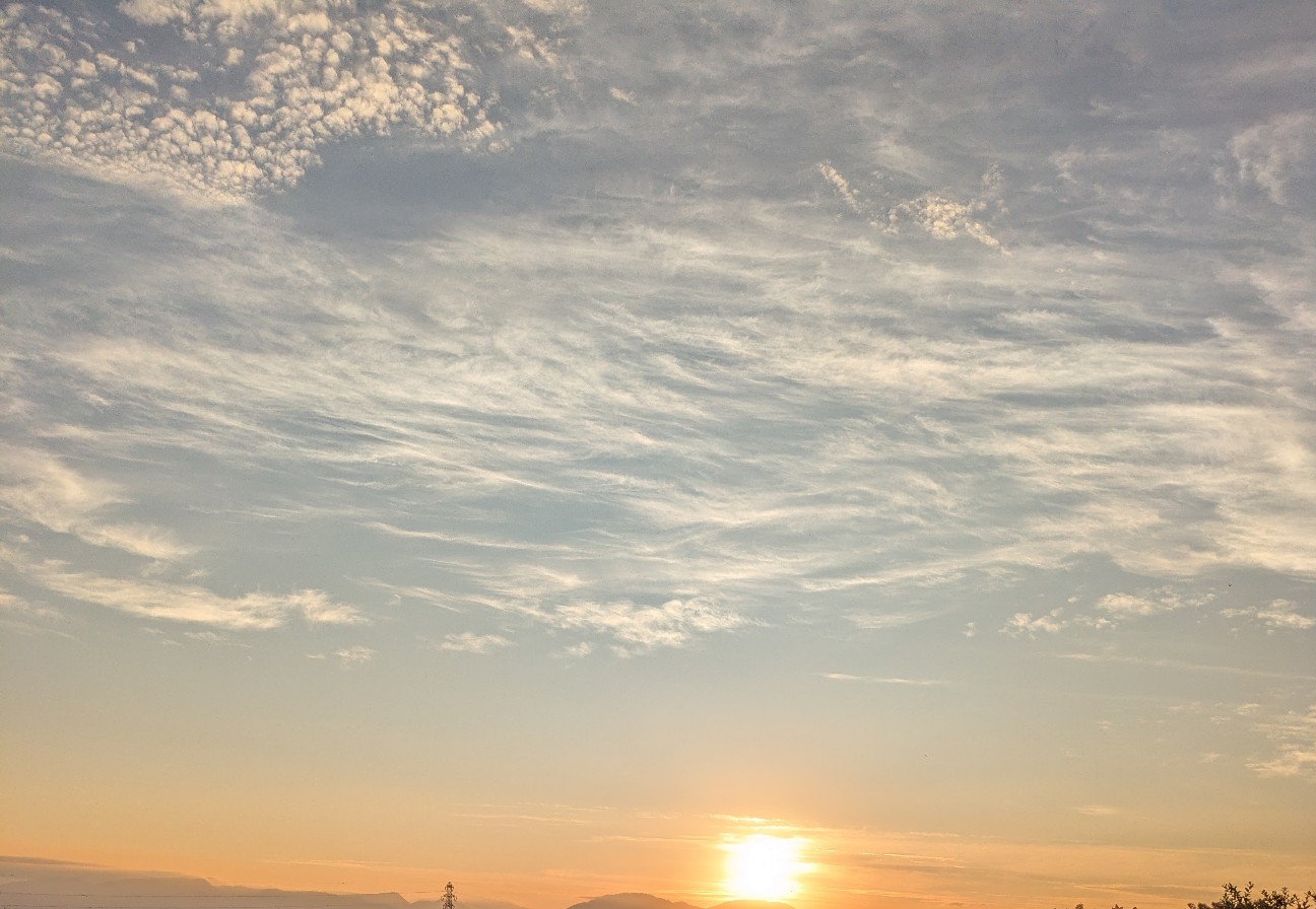 f:id:shringo51:20250714121104j:image