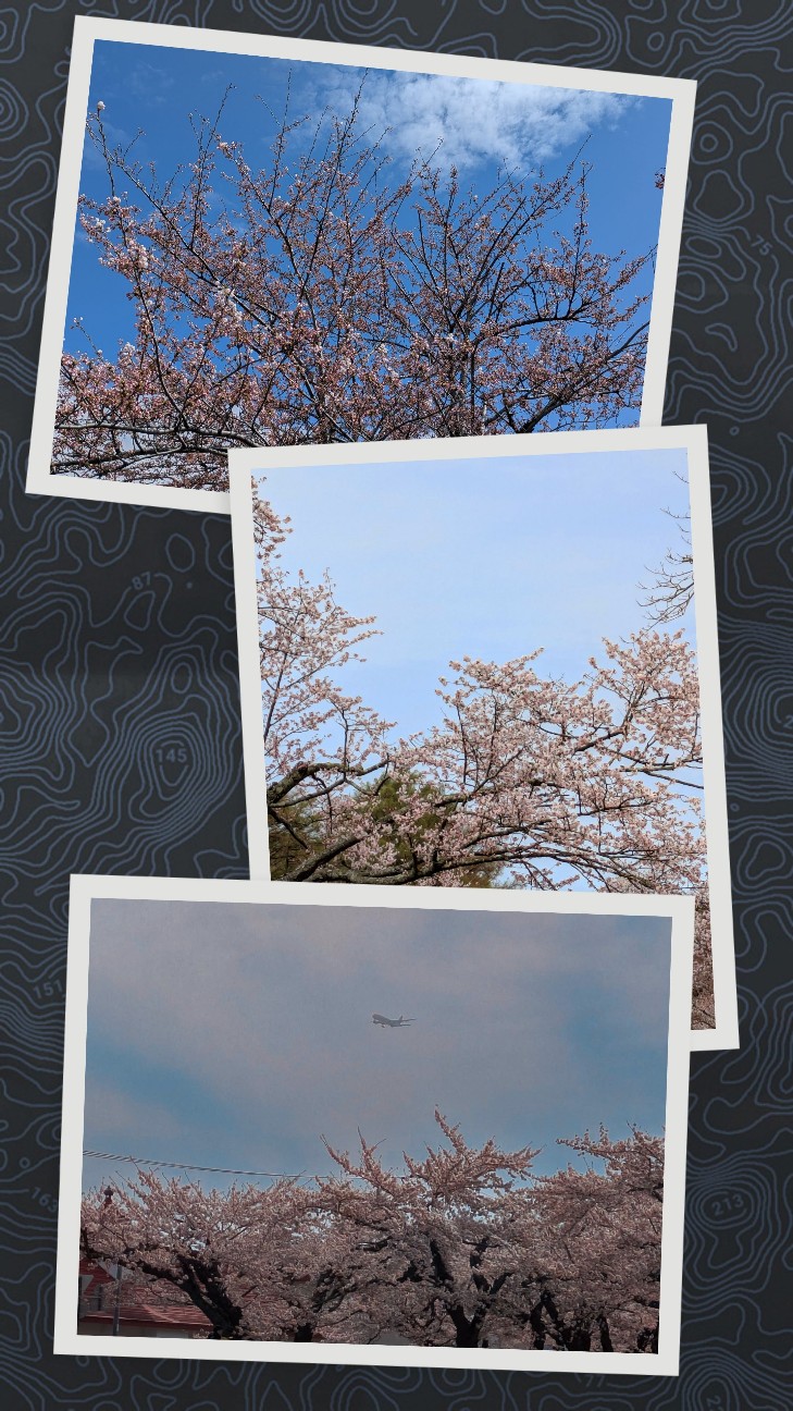 f:id:shringo51:20260213154718j:image