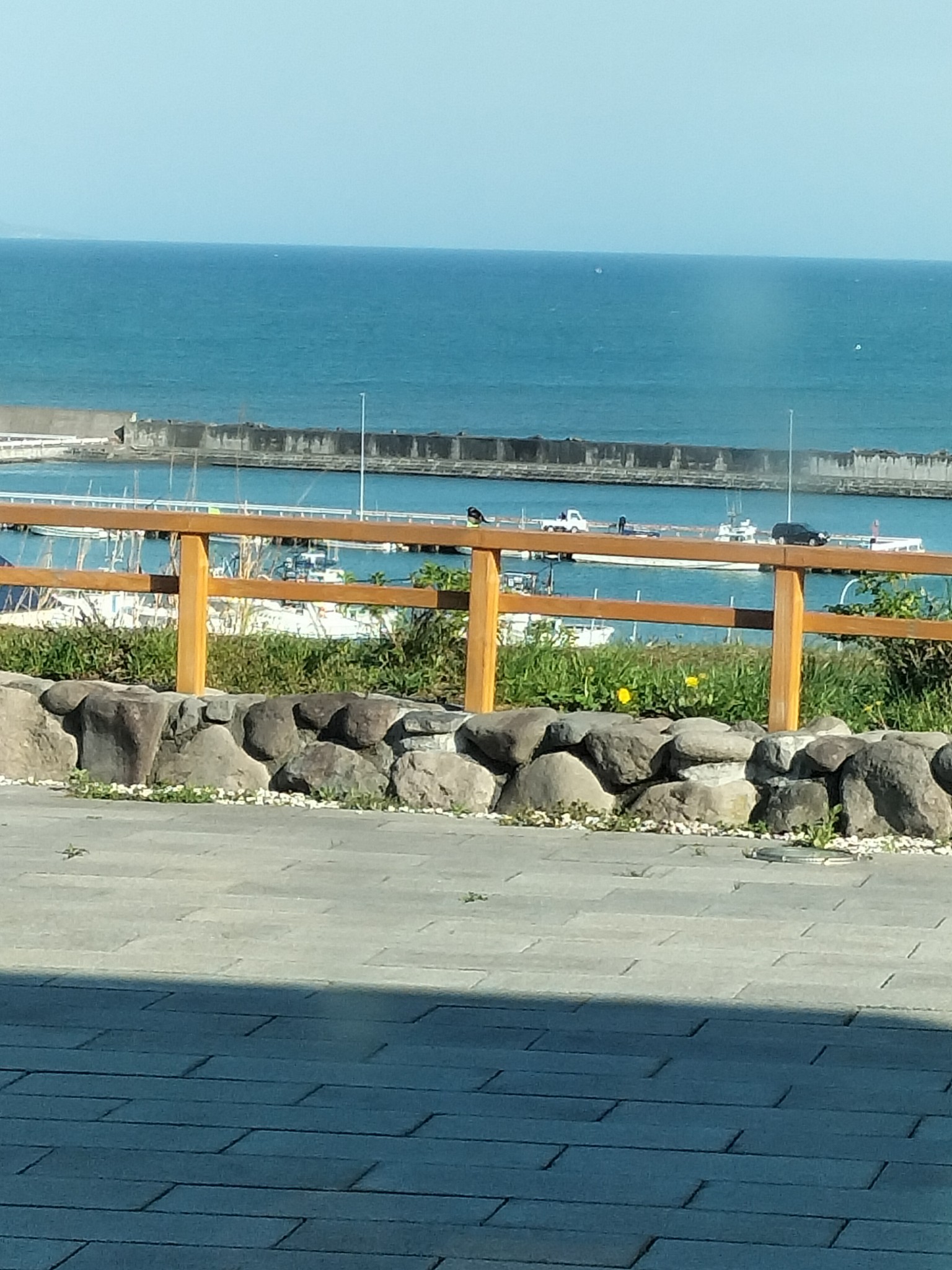 f:id:shringo51:20260512095638j:image