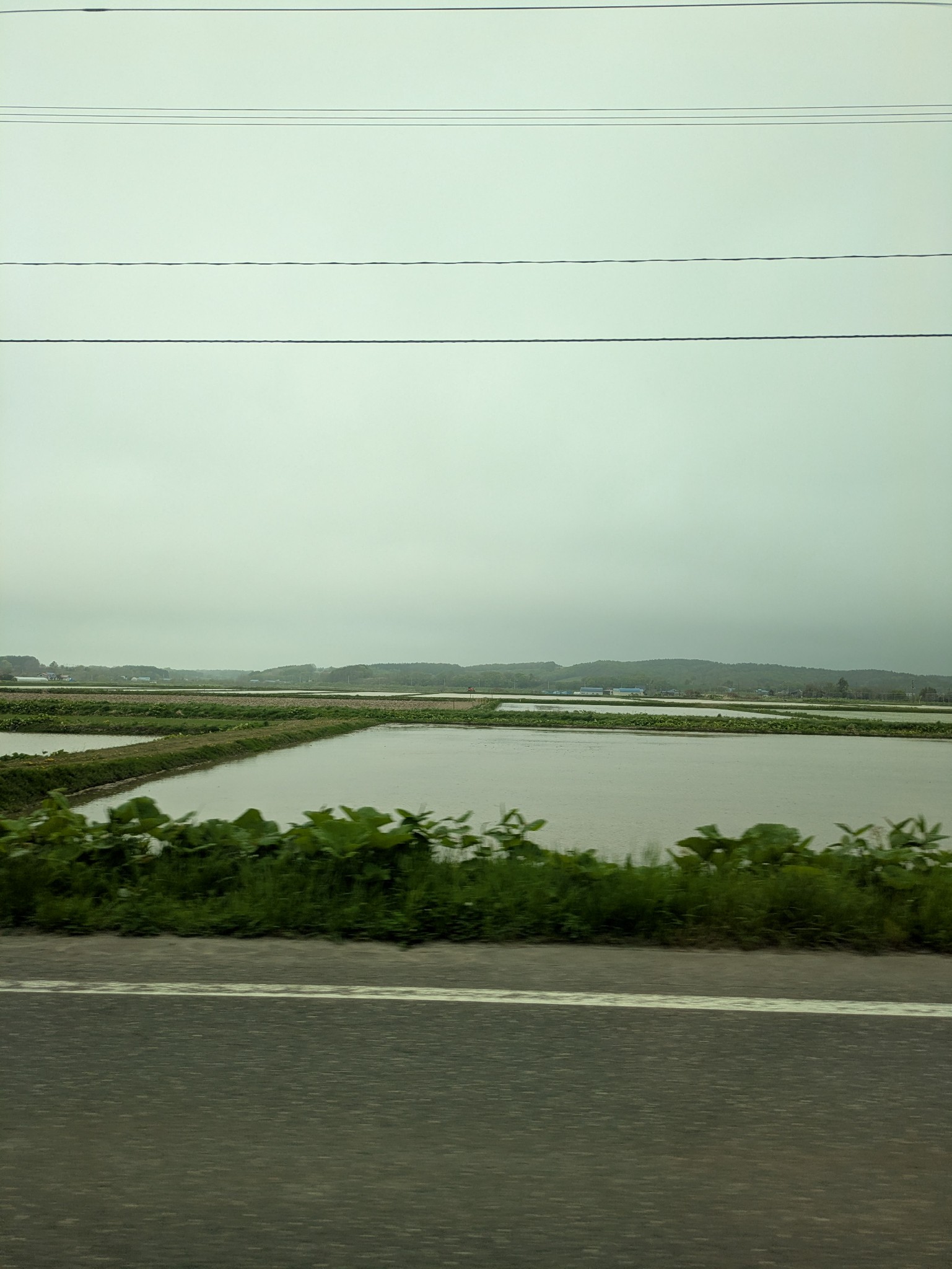 f:id:shringo51:20260524062523j:image